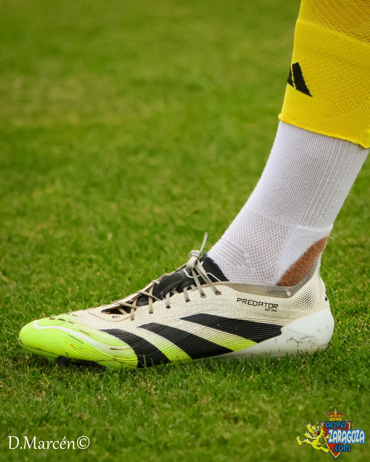 03 - 14-08-2026 - Amistoso - UD Logroñés 1-2 R. Zaragoza (18).jpg